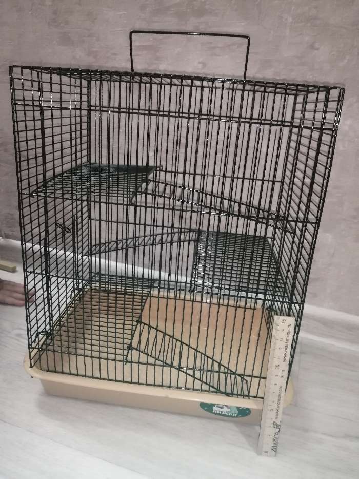 Фотография покупателя товара Клетка для грызунов "Пижон" №9, с 3-я этажами, без наполнения, 33 х 24 х 38 см, бирюзовая - Фото 15