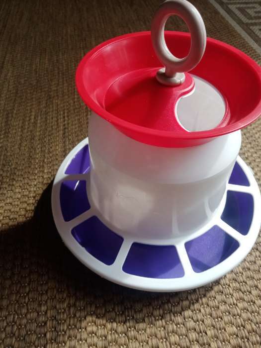 Фотография покупателя товара Автокормушка для цыплят и голубей, микс цветов - Фото 1