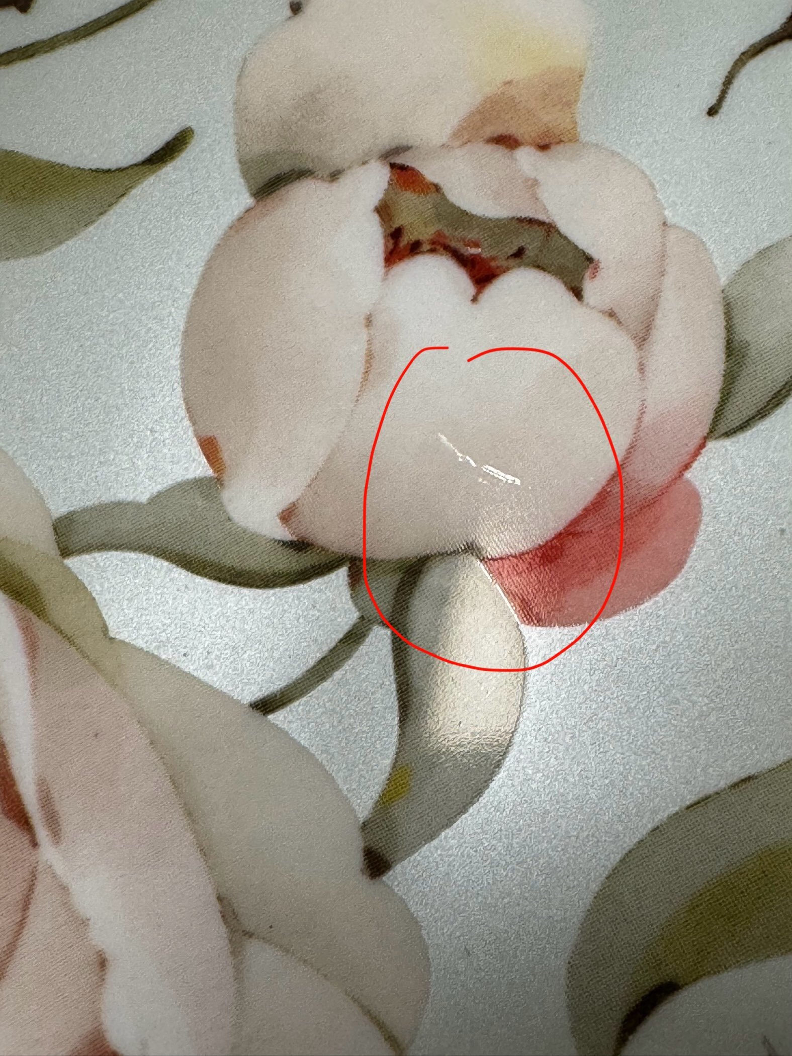 Фотография покупателя товара Тарелка WY Pink O'hara, d=27 см, фарфор, зелёная - Фото 4