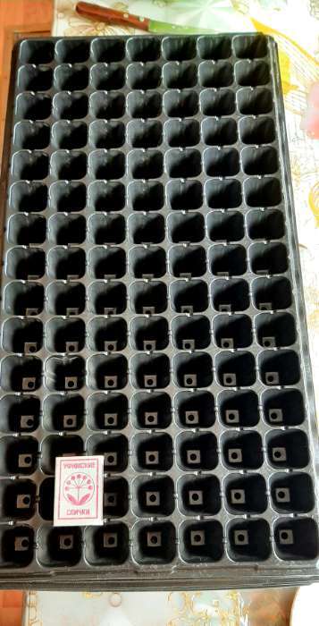 Фотография покупателя товара Кассета для рассады Greengo на 105 ячеек, по 20 мл, из пластика, чёрная, 55×29.5×3 см - Фото 1