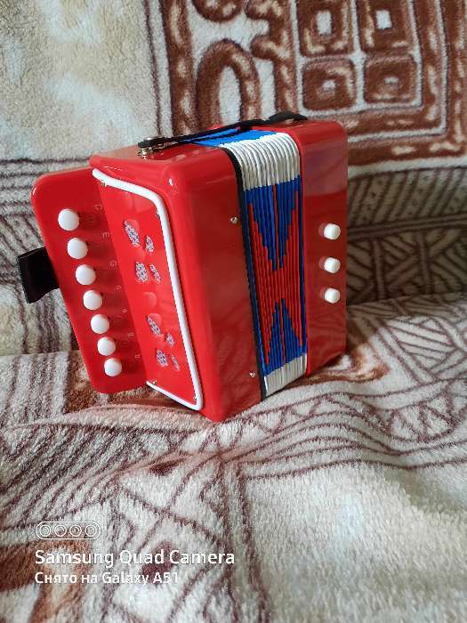 Фотография покупателя товара Музыкальная игрушка «Гармонь», детская, цвет красный - Фото 1