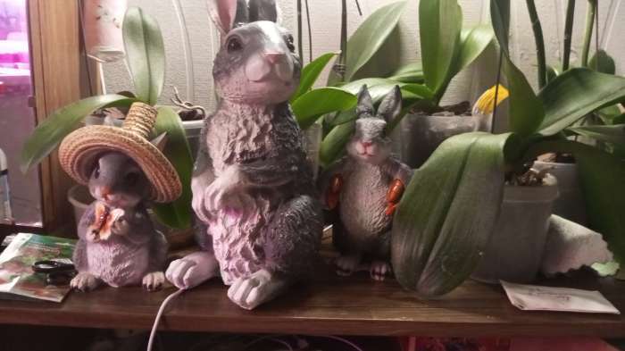 Фотография покупателя товара Садовая фигура из полистоуна «Заяц полевой», 33×21×18 см - Фото 2