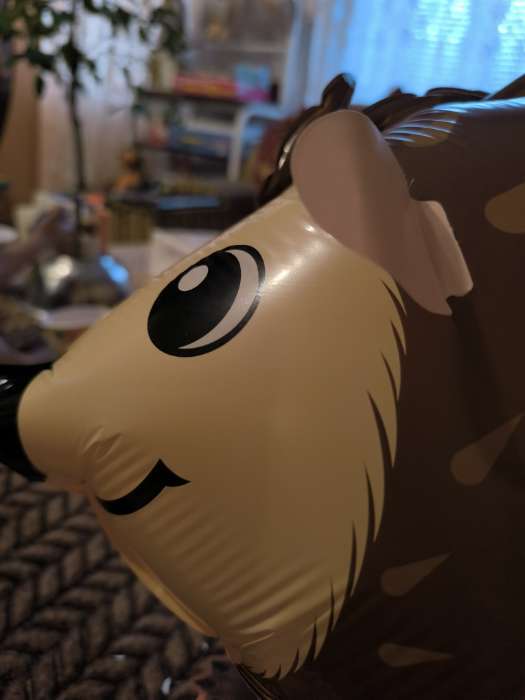 Фотография покупателя товара Воздушные шары, набор «Лев на лапках», 6 шт. - Фото 4