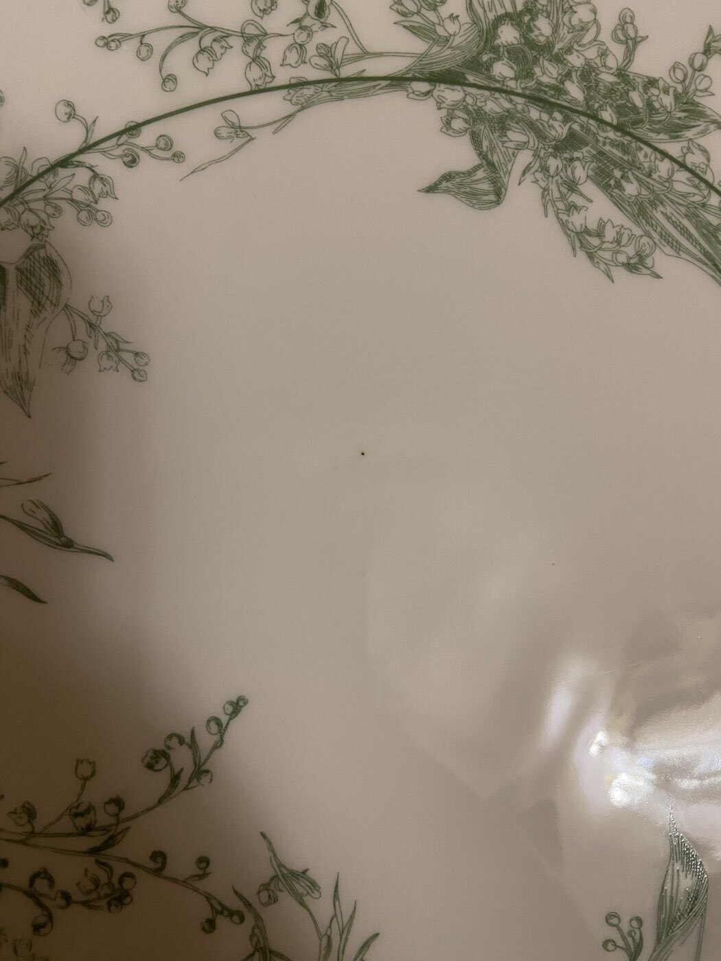 Фотография покупателя товара Тарелка десертная WY Bloomware. d=20 см, фарфор, белая, зелёная - Фото 3