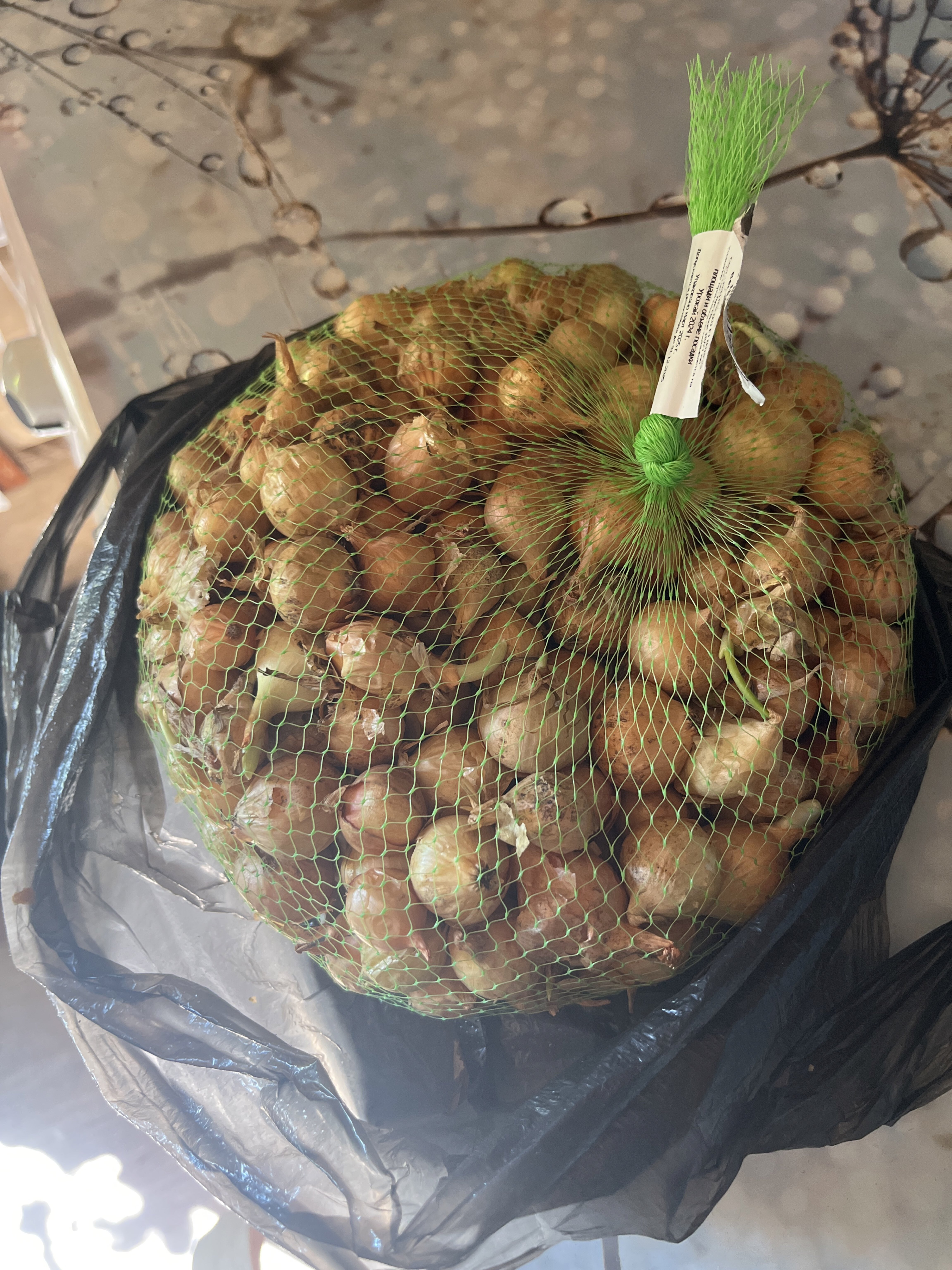 Фотография покупателя товара Лук севок Штутгартен ризен , р-р 18-21 1 кг, Весна 2025 - Фото 2