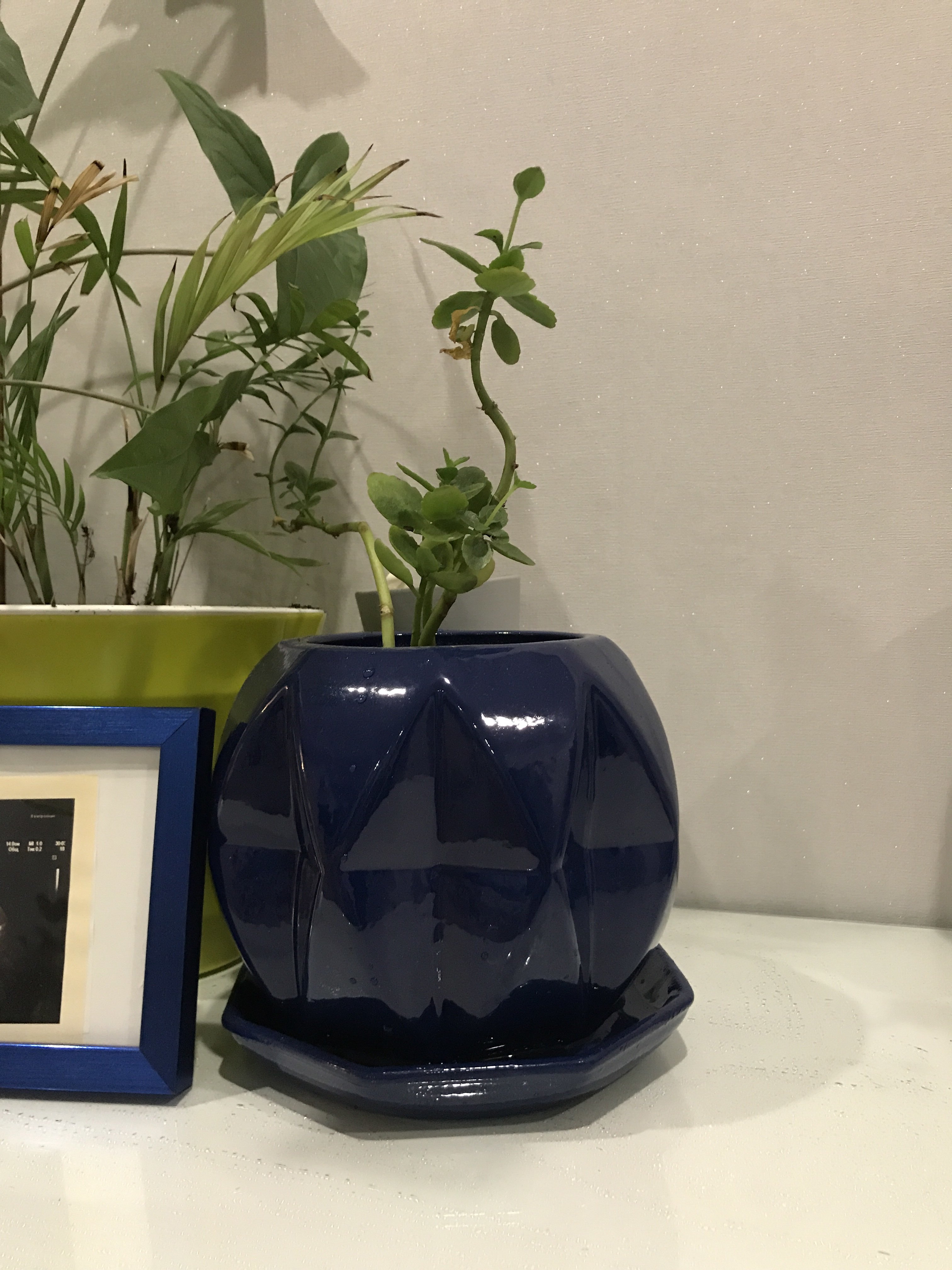 Фотография покупателя товара Горшок для цветов "Сфера", глазурь, синий, керамика, 1.5 л