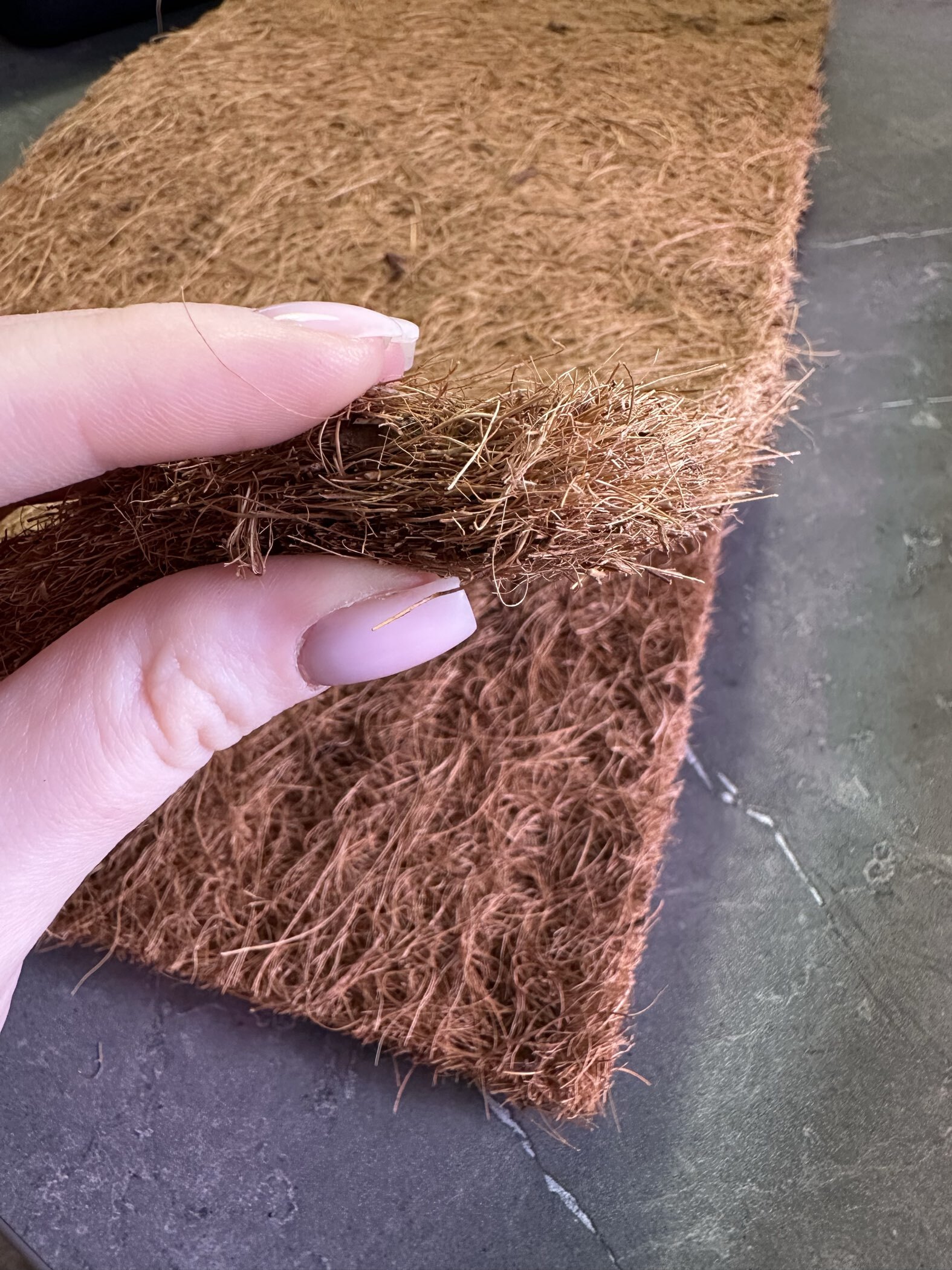 Фотография покупателя товара Коврик из кокосового волокна, для выращивания микрозелени, 50×25 см, Greengo - Фото 1