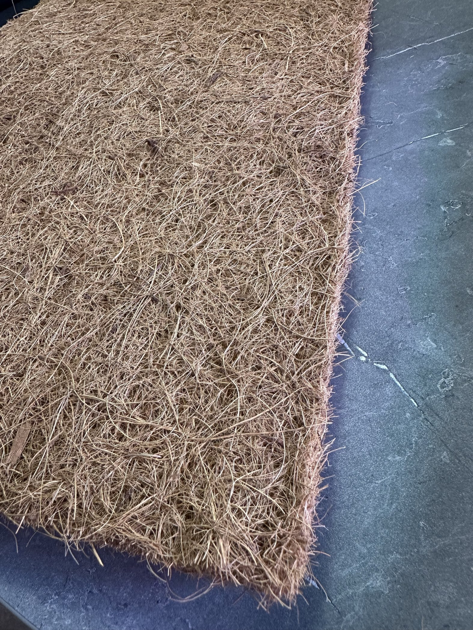 Фотография покупателя товара Коврик из кокосового волокна, для выращивания микрозелени, 50×25 см, Greengo - Фото 2