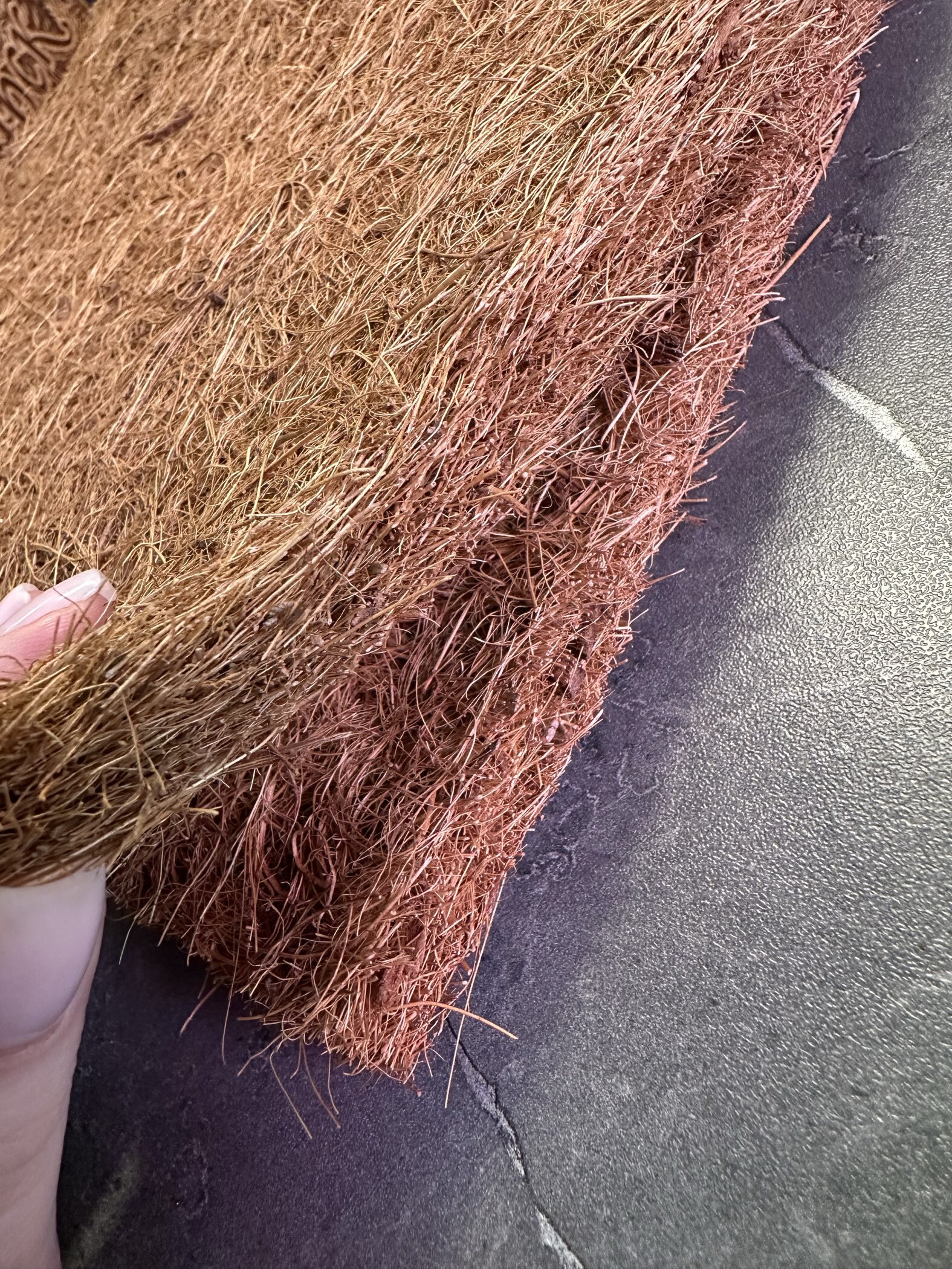 Фотография покупателя товара Коврик из кокосового волокна, для выращивания микрозелени, 50×25 см, Greengo - Фото 3