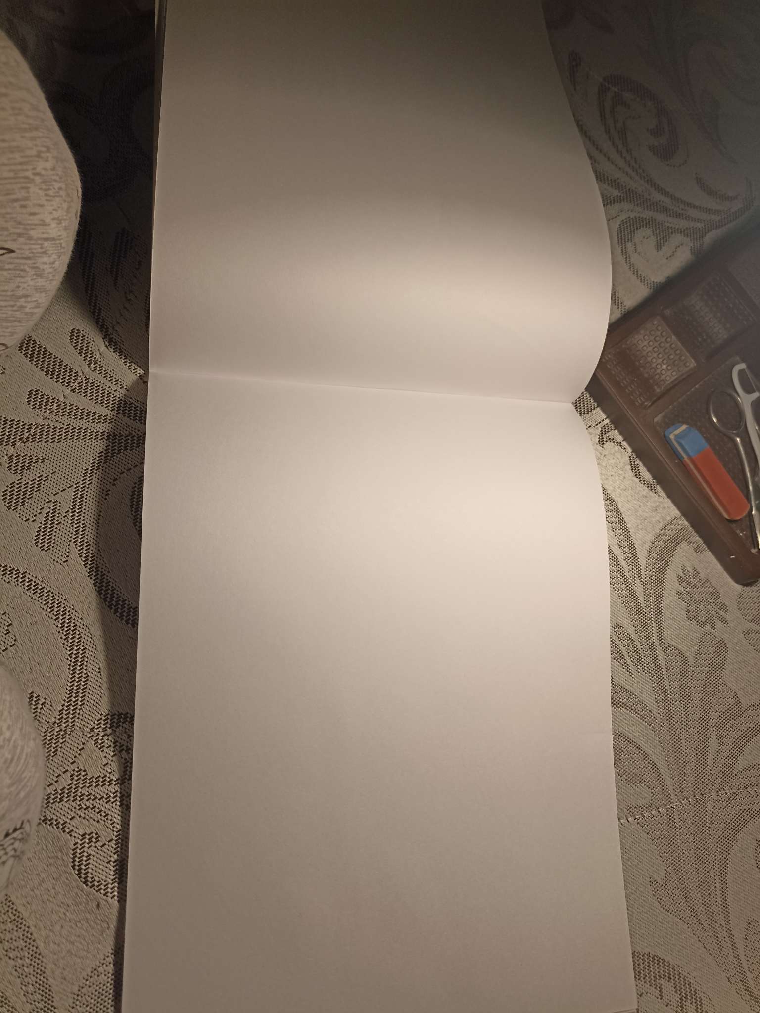 Фотография покупателя товара Альбом для рисования Calligrata «Друзья» А4, 32 листа на скрепке, обложка мелованный картон, внутренний блок офсет 100 г/м² - Фото 2