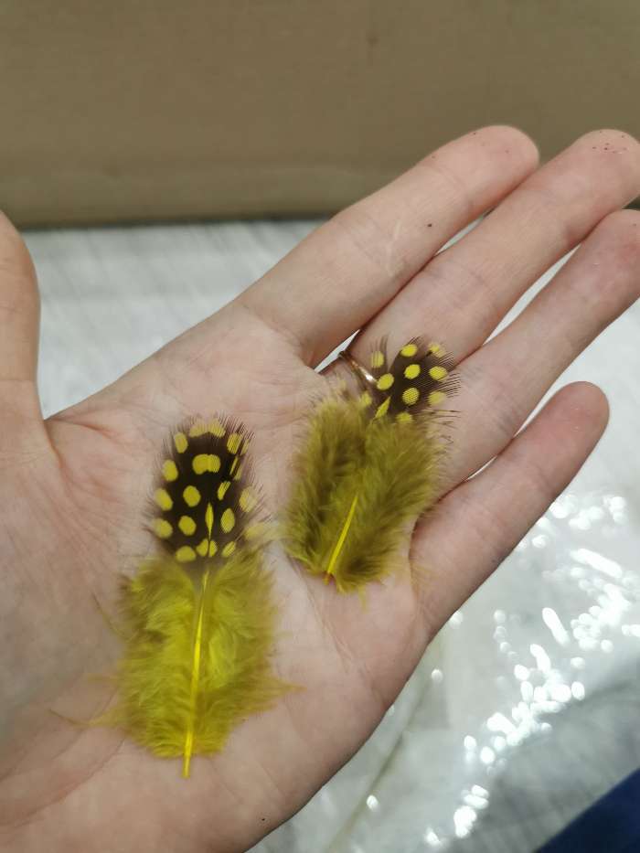 Фотография покупателя товара Набор перьев для декора 10 шт., размер 1 шт: 5 × 2 см, цвет жёлтый с коричневым