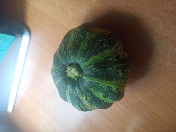 Фотография покупателя товара Семена Патиссон Звездная россыпь" "Лидер", смесь, 1 г , - Фото 12