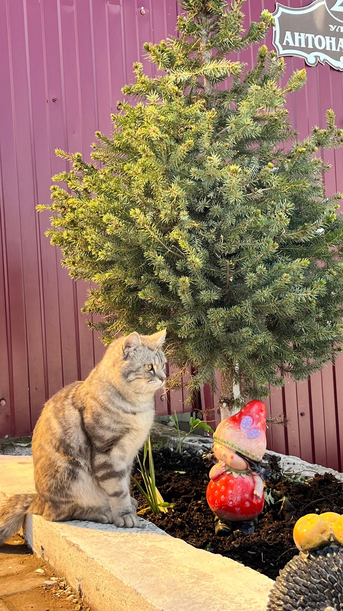 Фотография покупателя товара Садовая фигура из гипса «Девочка - клубничка», 11×15×31 см - Фото 1