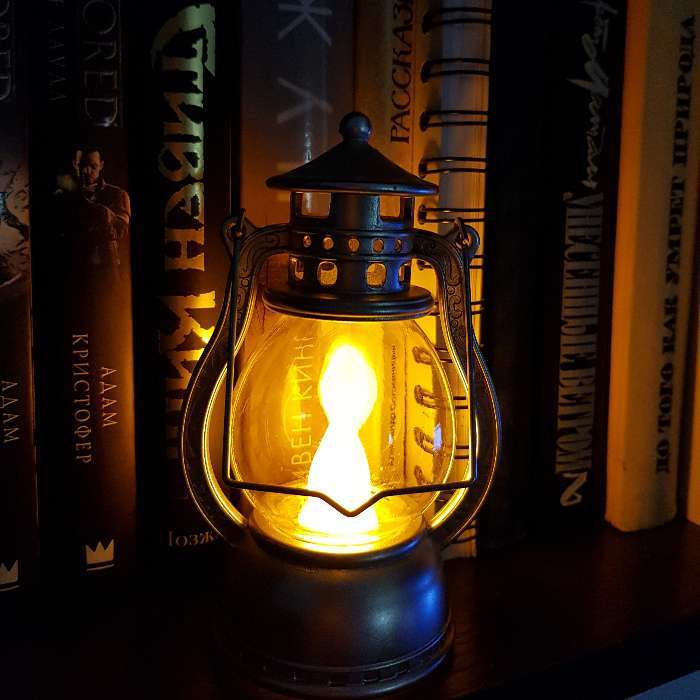 Фотография покупателя товара Светодиодная фигура «Серебристый фонарь» 8 × 12 × 6 см, пластик, батарейки AG13х3, свечение тёплое белое - Фото 12