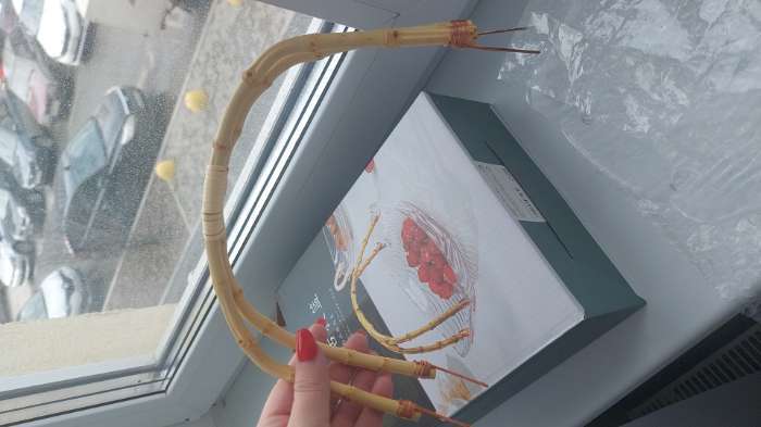 Фотография покупателя товара Фруктовница «Цеста», 22.5×17 см, бамбуковая ручка, стекло, прозрачная - Фото 3