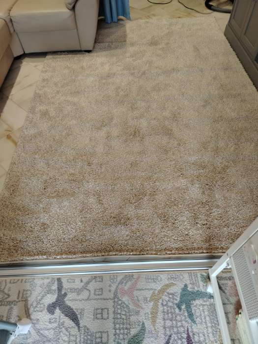 Фотография покупателя товара Ковёр «Шегги», фризе, меланж, 150×300 см - Фото 1