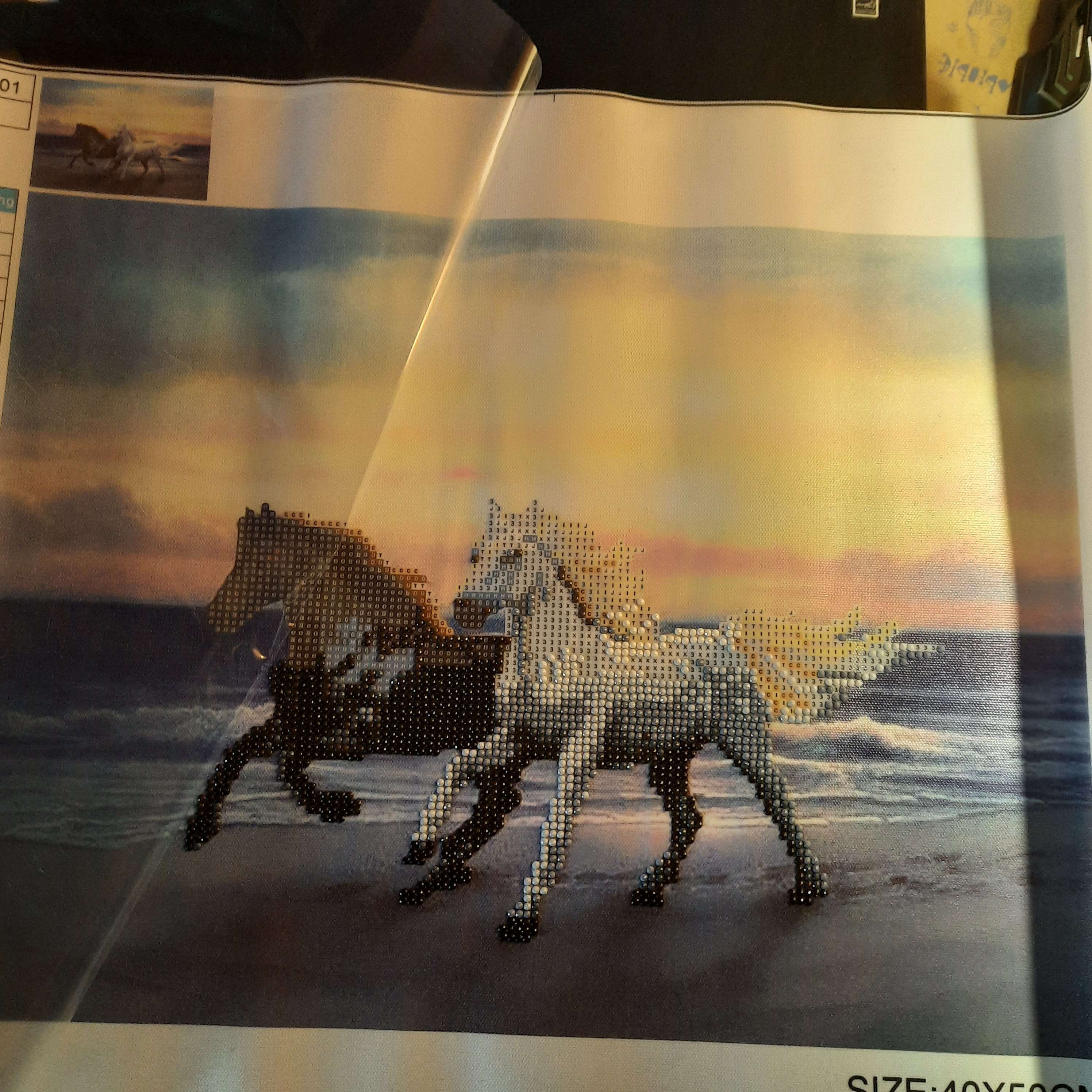 Фотография покупателя товара Алмазная мозаика без подрамника, частичное заполнение «Бегущие кони» 40×50 см - Фото 3