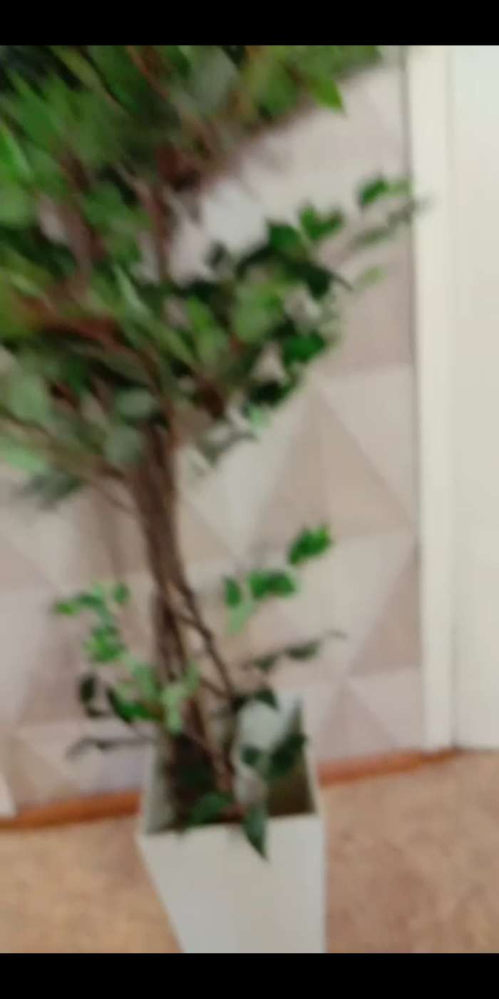 Фотография покупателя товара Дерево искусственное "Фикус Фолиа" 150 см - Фото 4