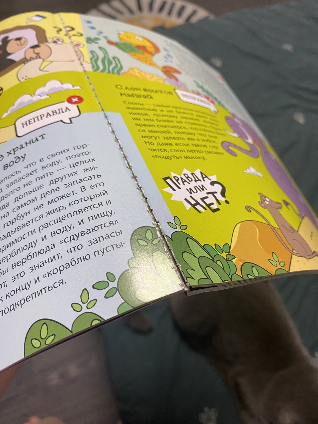 Фотография покупателя товара Книга «Это правда или нет?», 68 стр. - Фото 1