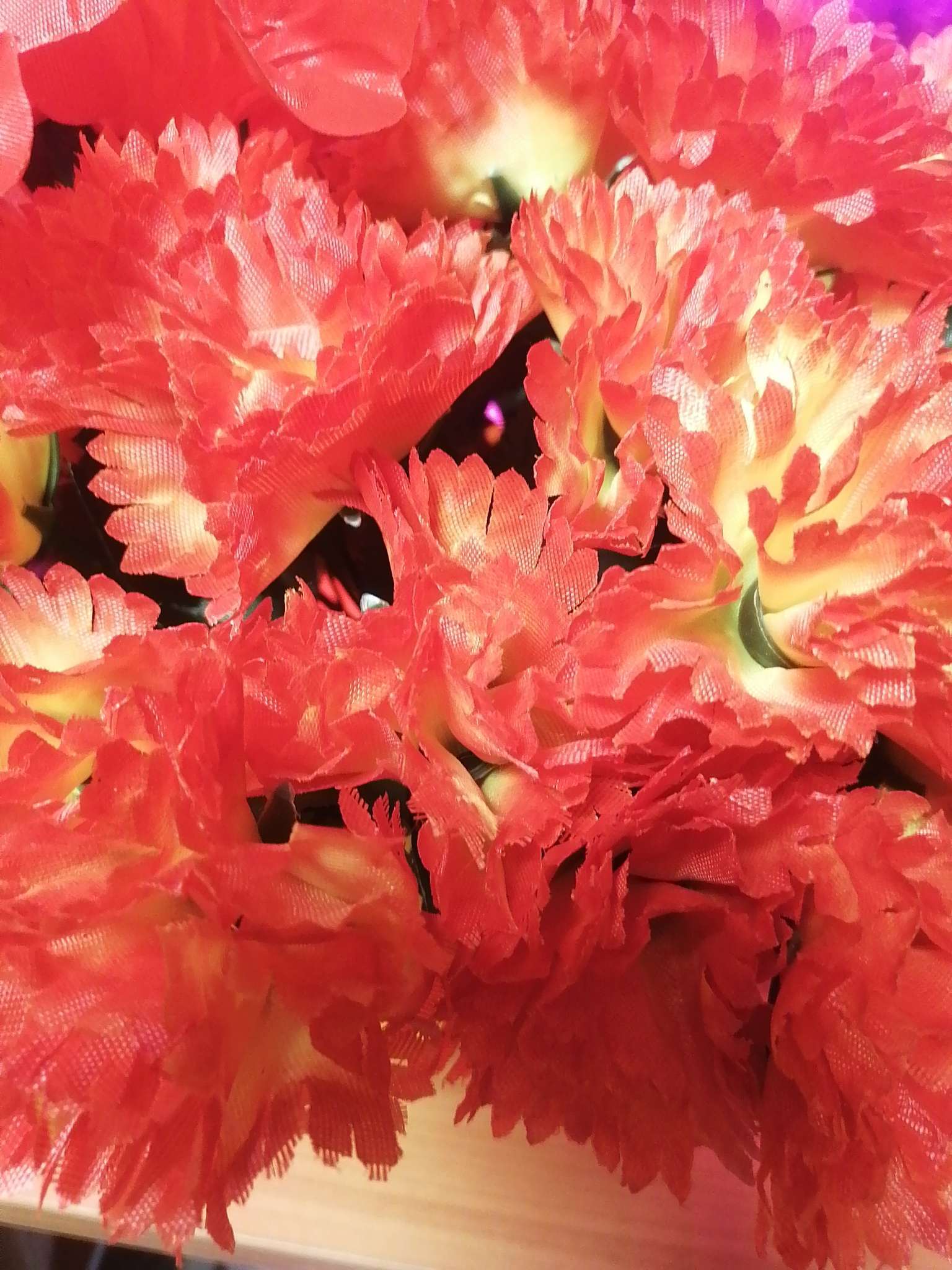 Фотография покупателя товара Цветы искусственные «Гвоздика», h=25 см, красные - Фото 1