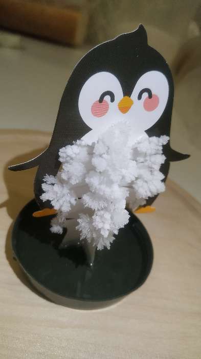 Фотография покупателя товара Набор для выращивания кристалла «Опыты. Веселые кристаллы», пингвин