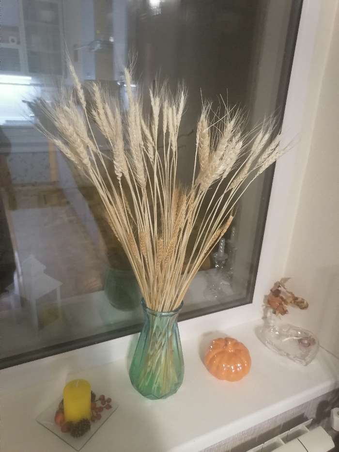 Фотография покупателя товара Сухой колос пшеницы, набор 50 шт., цвет белый