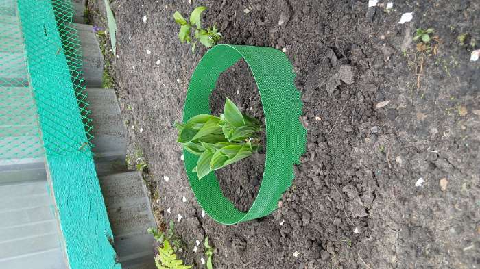 Фотография покупателя товара Лента бордюрная, 10 см×10 м, толщина 1.2 мм, пластиковая, коричневая, Greengo - Фото 1