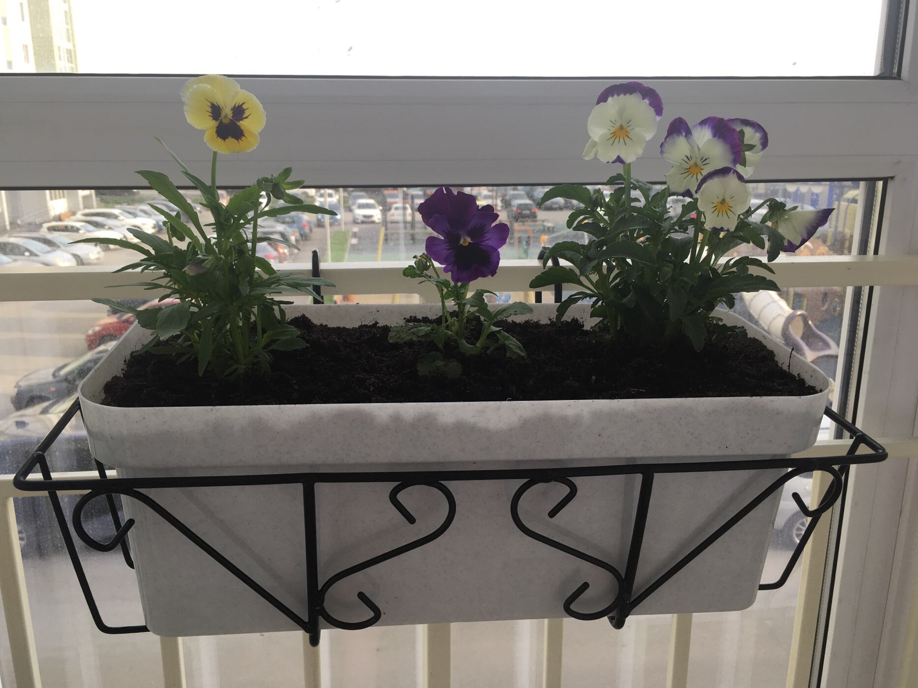 Фотография покупателя товара Подставка для цветов балконная Доляна «Ренессанс» 45.5×20×12 см, чёрная - Фото 1