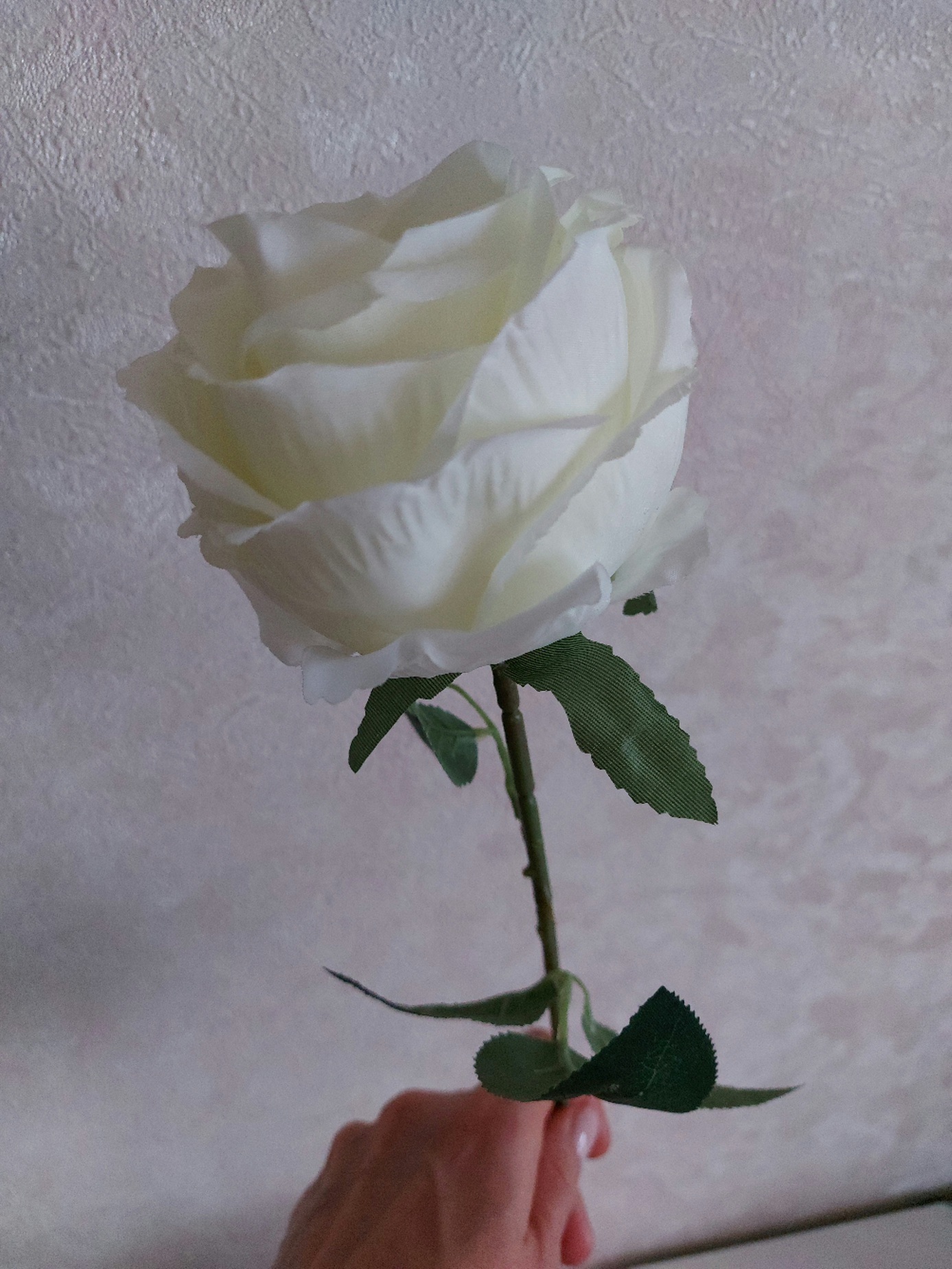 Фотография покупателя товара Цветы искусственные "Роза Охара" 8,5х56 см, красный - Фото 7