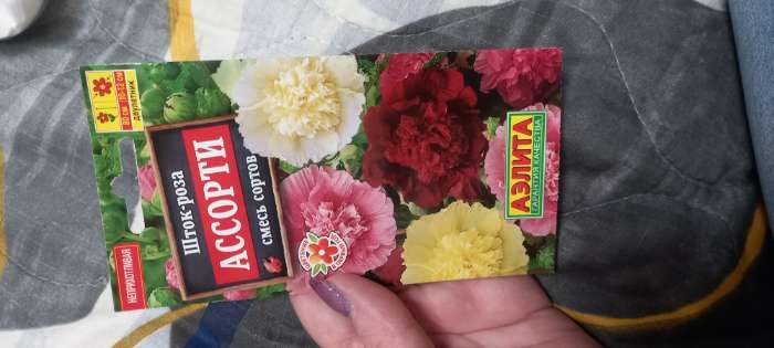 Фотография покупателя товара Семена  цветов Шток-роза Ассорти, смесь окрасок, О, 0,2 г - Фото 5