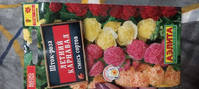 Фотография покупателя товара Семена цветов Шток-роза «Летний карнавал», 0.3 г - Фото 6