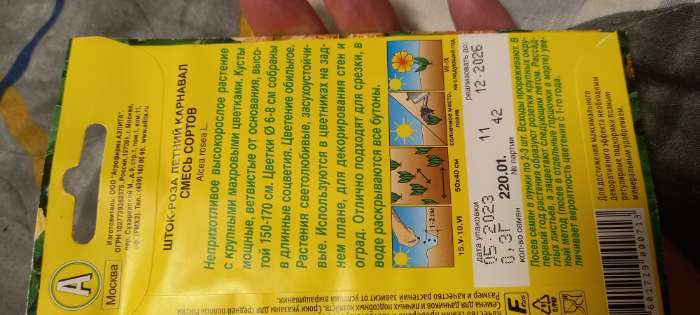 Фотография покупателя товара Семена цветов Шток-роза «Летний карнавал», 0.3 г - Фото 7