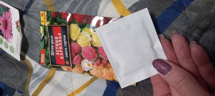 Фотография покупателя товара Семена цветов Шток-роза «Летний карнавал», 0.3 г - Фото 8