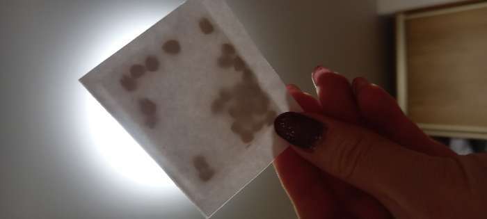 Фотография покупателя товара Семена цветов Шток-роза «Летний карнавал», 0.3 г - Фото 4