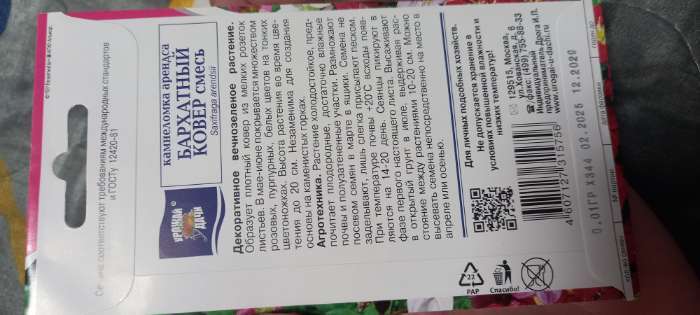 Фотография покупателя товара Семена цветов Камнеломка "Бархатный ковер", 0,01 г - Фото 2