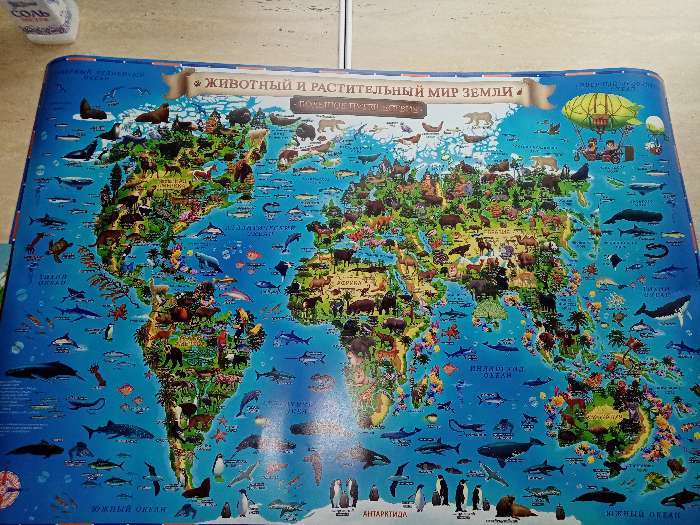 Фотография покупателя товара Географическая карта Мира для детей "Животный и растительный мир Земли", 60 х 40 см, без ламинации - Фото 5