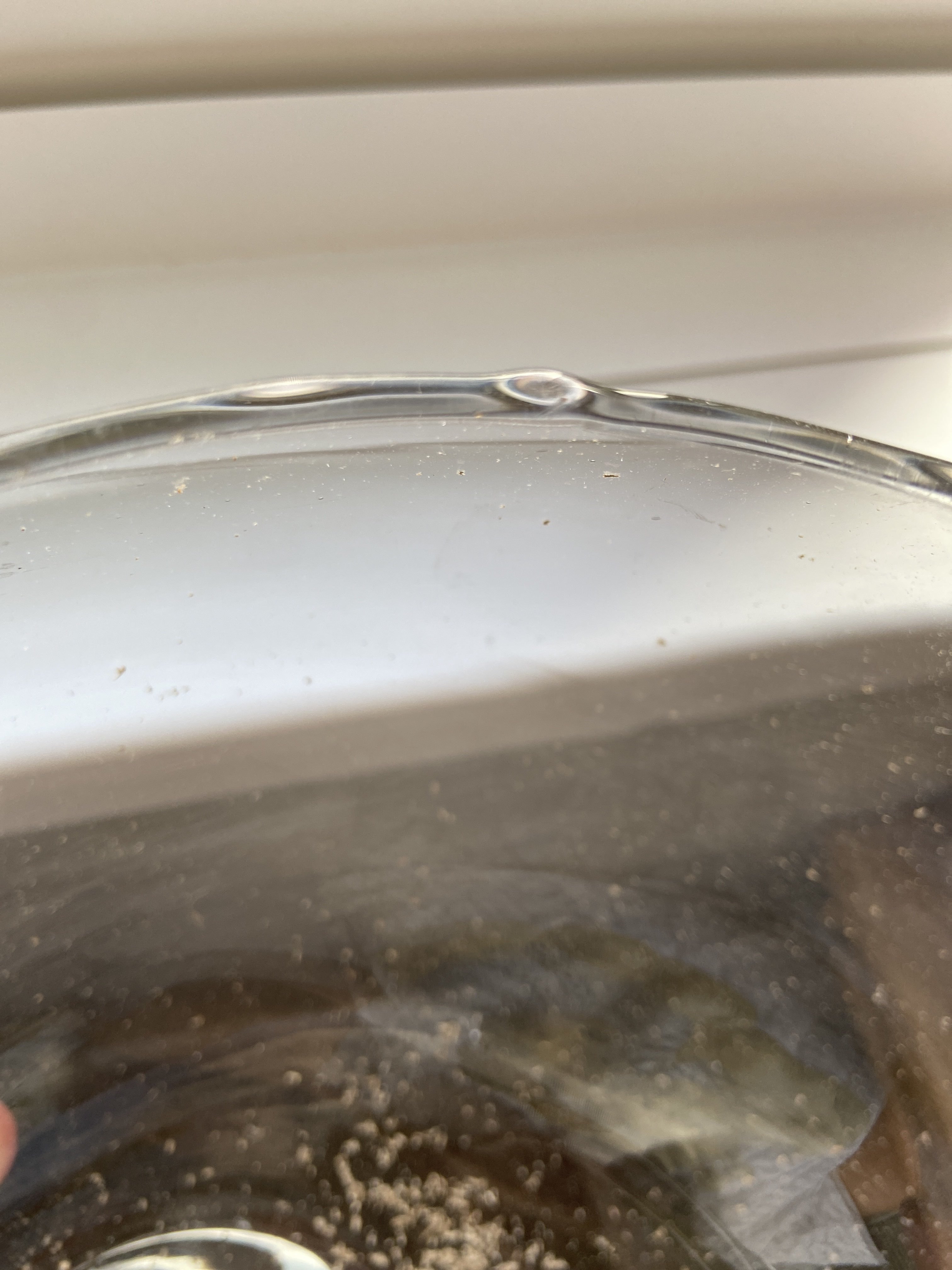 Фотография покупателя товара Ваза "Анабель" шаровая с косым резом  d-12см; h-9.5см,  0,8л прозрачная - Фото 29