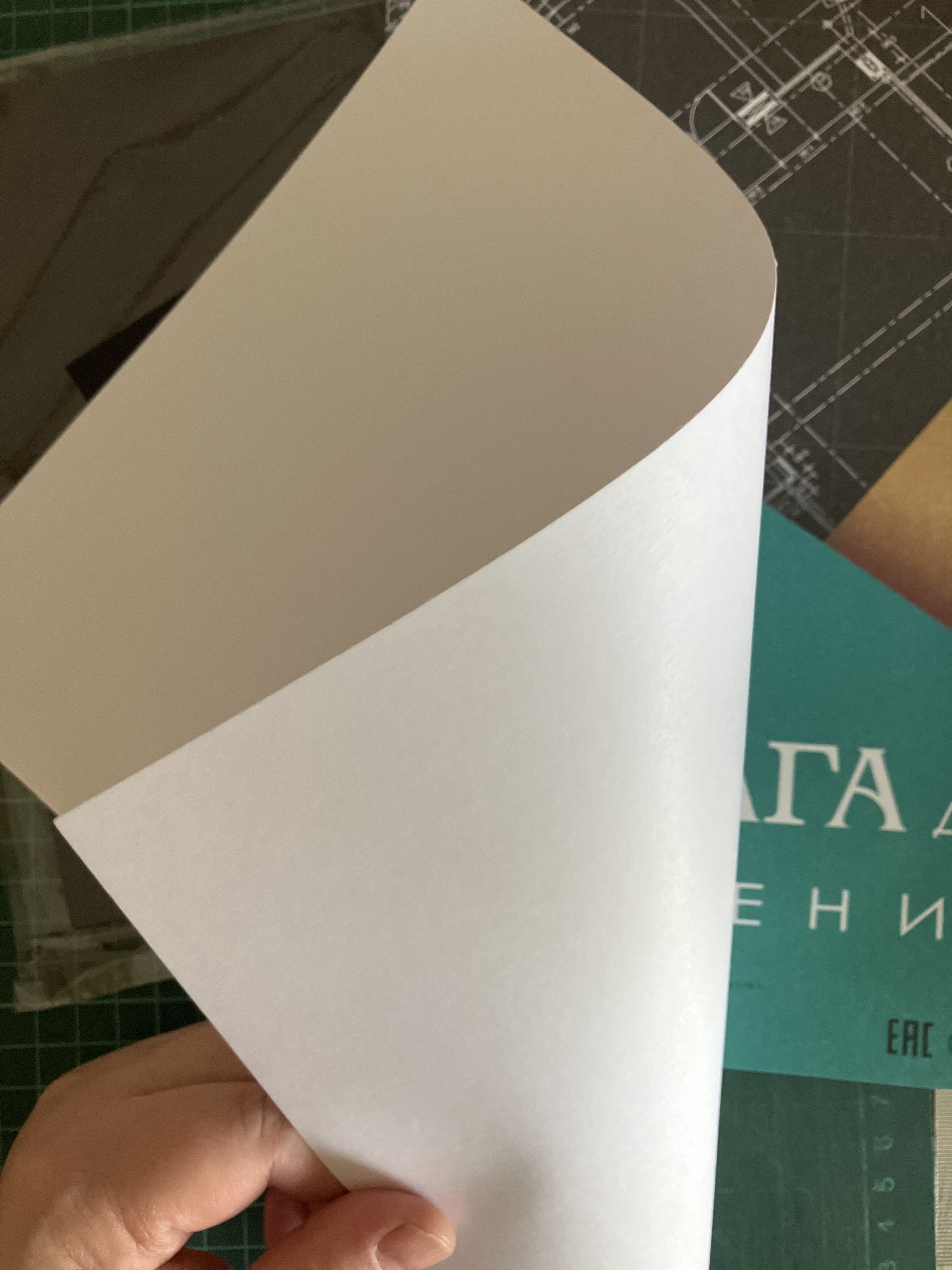 Фотография покупателя товара Бумага для черчения А4, 100 листов Calligrata, без рамки, блок 200 г/м2 - Фото 6