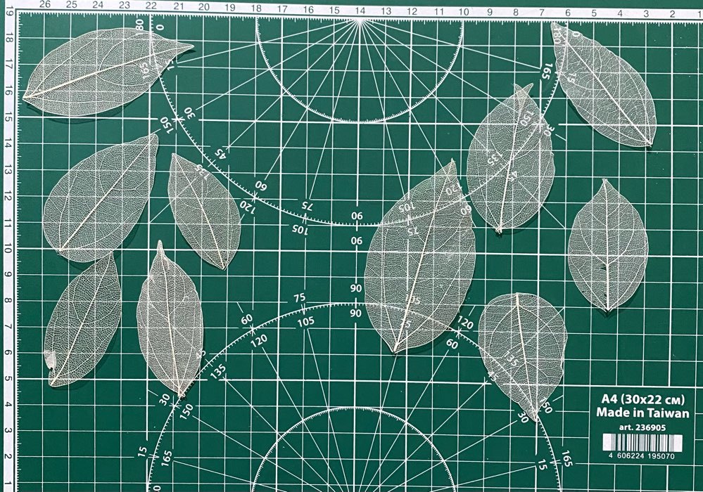 Фотография покупателя товара Сухие листья, (набор 5 шт), размер 1 шт:: 8×5 см, цвет красный - Фото 1