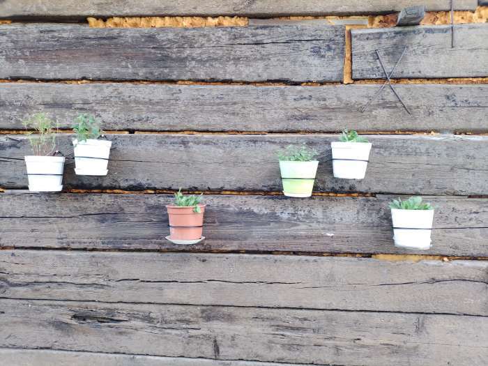 Фотография покупателя товара Подвес для кашпо, настенный, d=16 см, чёрный, «Косая-2» - Фото 2