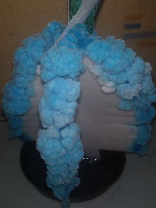 Фотография покупателя товара Набор для выращивания кристаллов,опыты, "Волшебные кристаллы" Холодное сердце: Эльза - Фото 4
