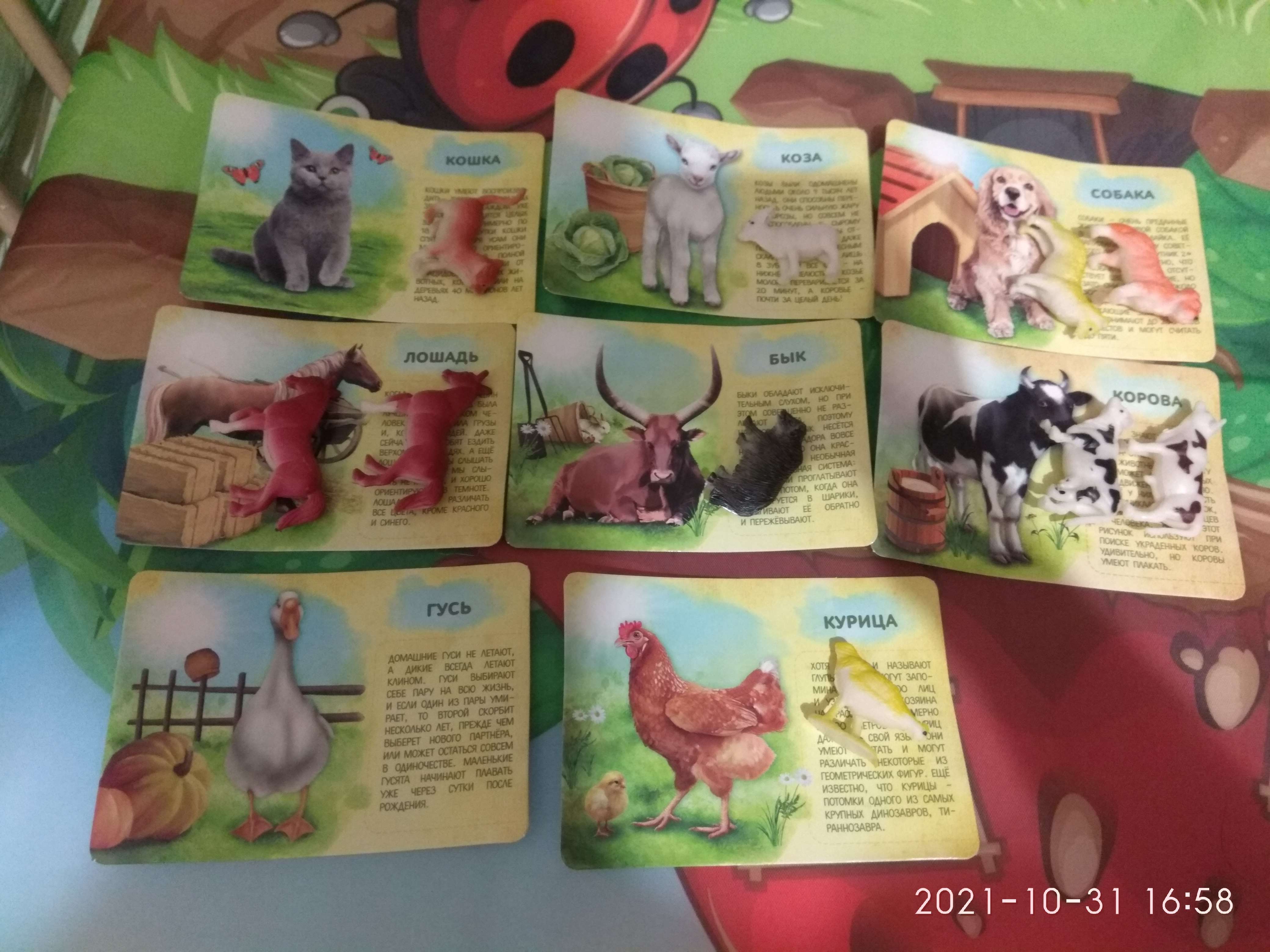 Фотография покупателя товара Набор животных с обучающими карточками «Фермерское хозяйство», животные пластик, карточки, по методике Монтессори