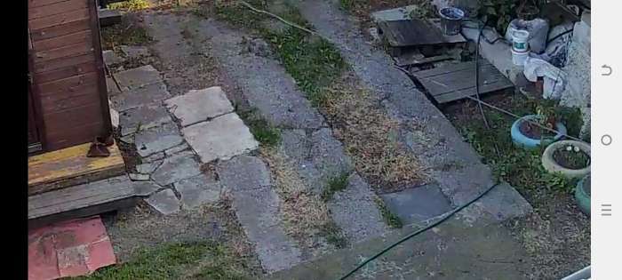 Фотография покупателя товара Средство сплошного уничтожения сорняков "Ликвидатор", 500 мл - Фото 2