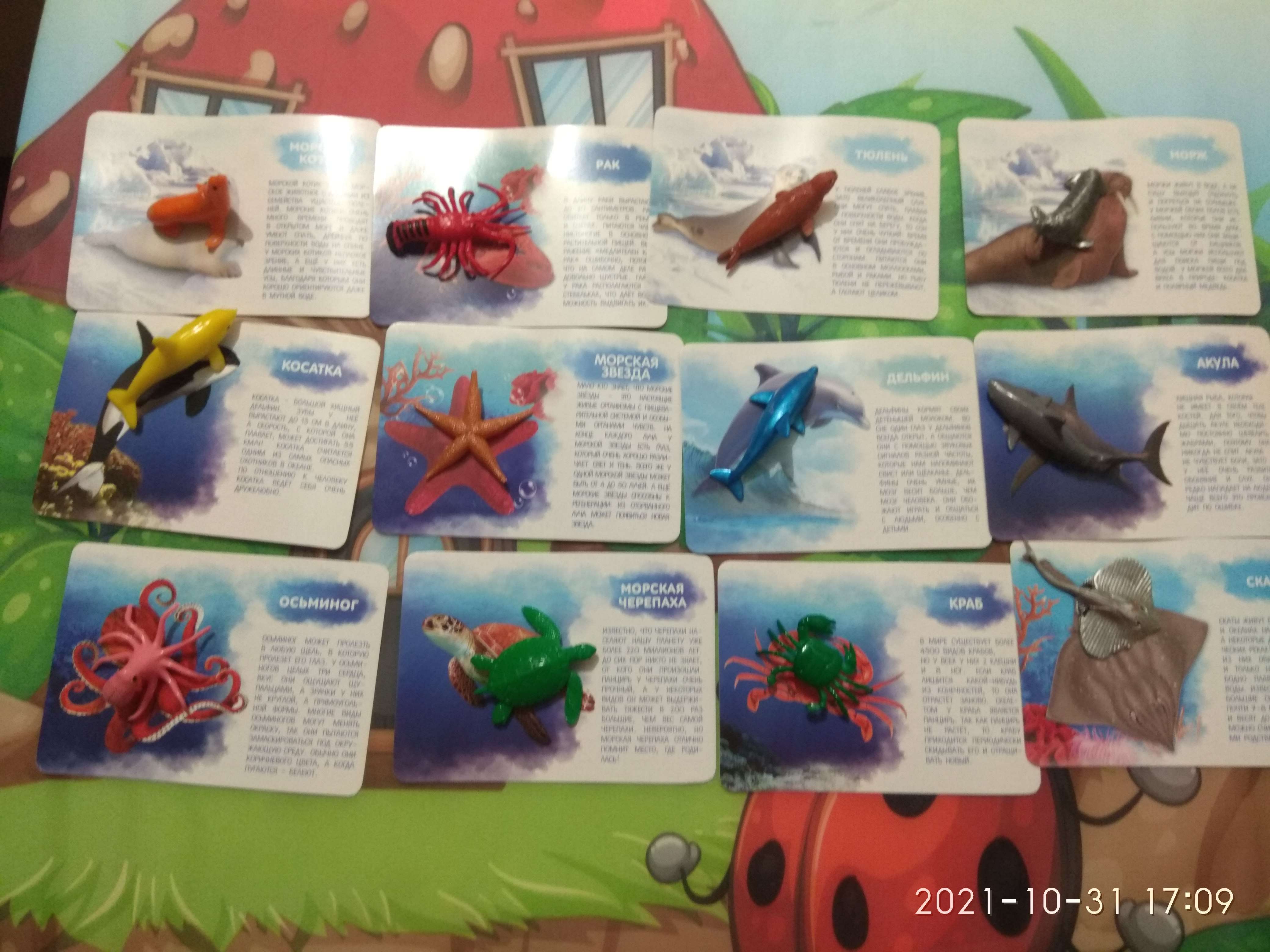 Фотография покупателя товара Набор фигурок животных для детей с обучающими карточками «Подводный мир», карточки, по методике Монтессори - Фото 2