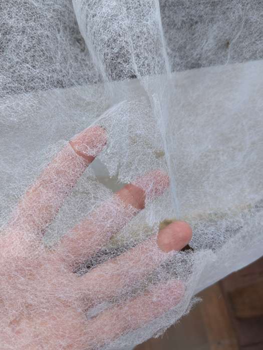 Фотография покупателя товара Материал укрывной, 10×2.1 м, плотность 30 г/м², белый, спанбонд с УФ-стабилизатором, Greengo, Эконом 30% - Фото 31