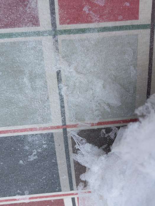 Фотография покупателя товара Материал укрывной, 10×2.1 м, плотность 30 г/м², белый, спанбонд с УФ-стабилизатором, Greengo, Эконом 30% - Фото 30