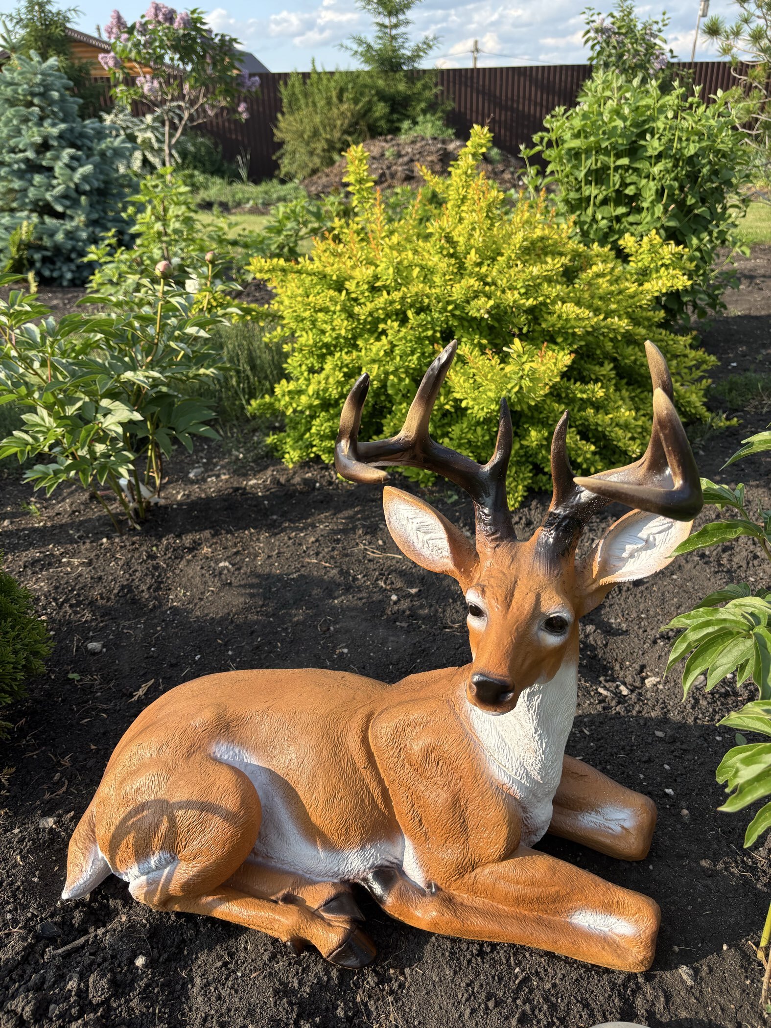 Фотография покупателя товара Садовая фигура из полистоуна «Олень лежит», 50×25×55 см - Фото 1