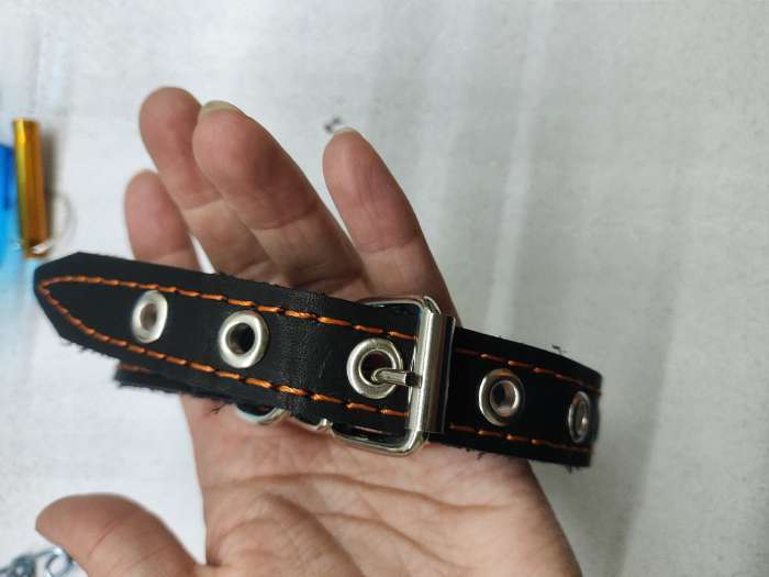 Фотография покупателя товара Ошейник однослойный безразмерный, 45×2 см, ОШ 18-39 см, кожа, синий - Фото 1