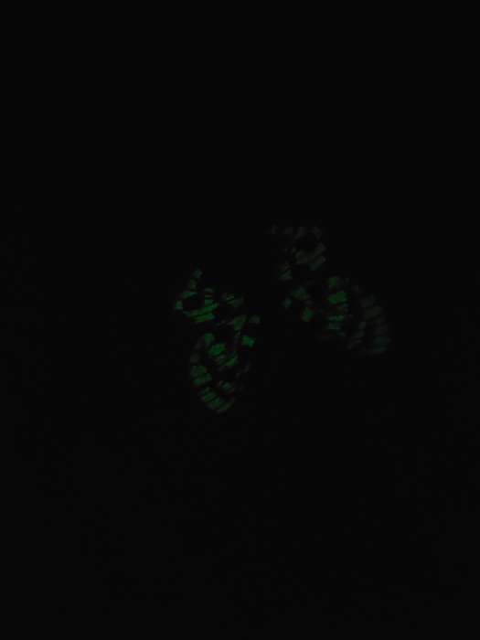 Фотография покупателя товара Дразнилка «Бабочка», с перьями, цвет МИКС - Фото 2