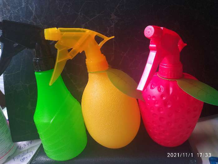 Фотография покупателя товара Пульверизатор «Клубничка», 500 мл, цвет красный - Фото 2